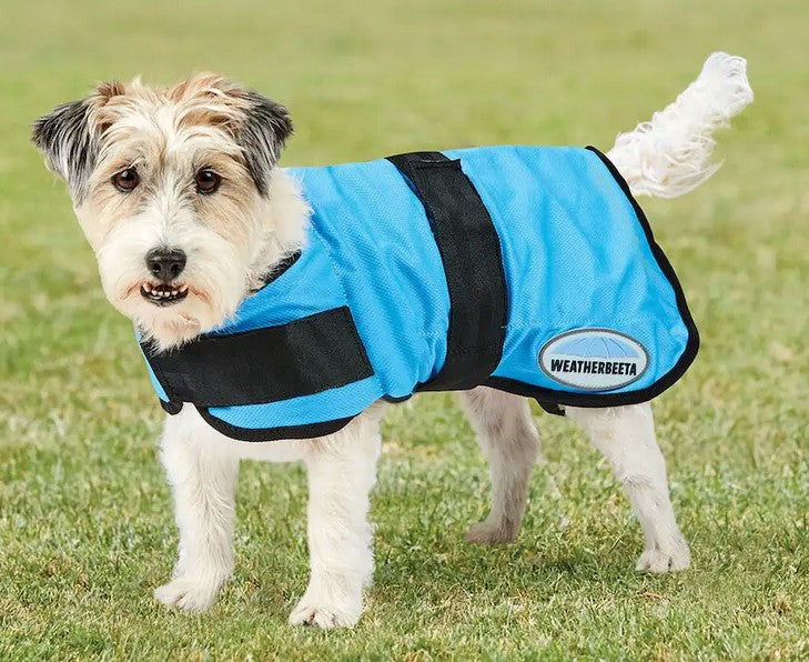 Weatherbeeta Therapy-Tec Cooling Dog Coat