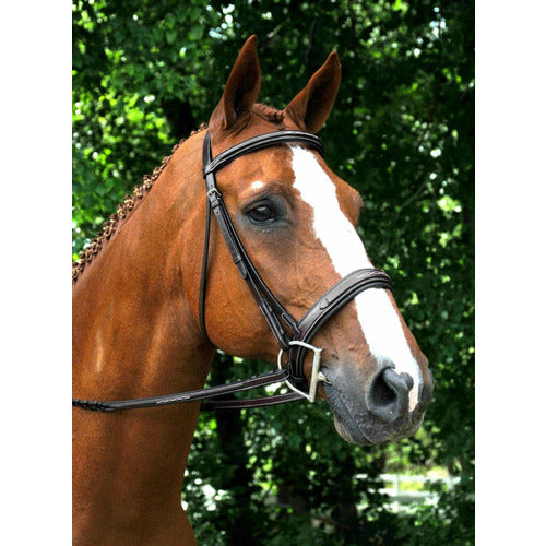 KL Select Red Barn Tryon Bridle