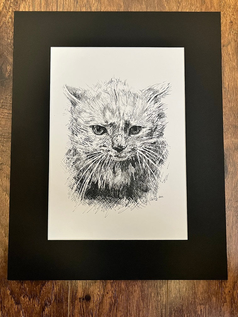 Pen & Ink Matted Print - Cat SALE
