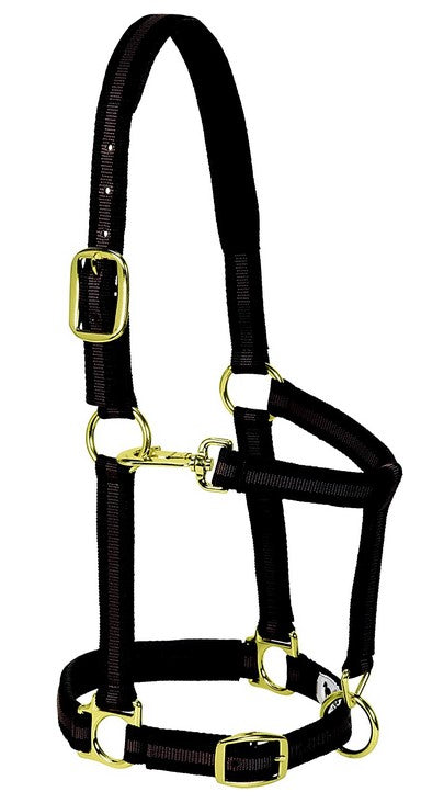 Weaver Striped Padded Adjustable Chin and Throat Snap Halter- LARGE HORSE