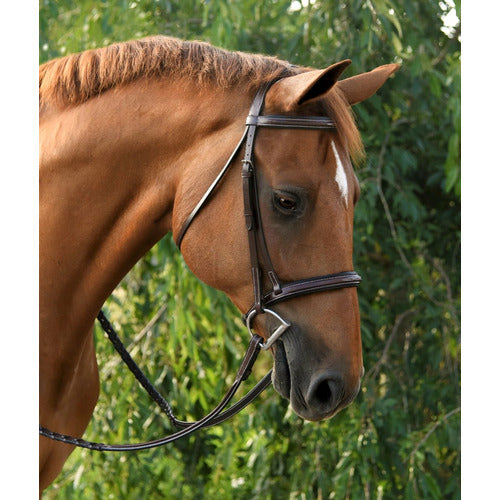 KL Select Red Barn Icon Hunter Bridle