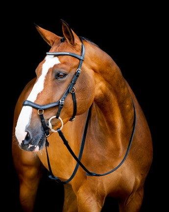 Horseware Micklem 2 Diamonte Competition Bridle with Reins