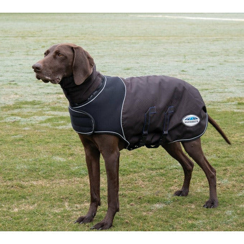 Weatherbeeta ComfiTec Ultra Cozi Dog Coat Medium/Lite CLOSEOUT
