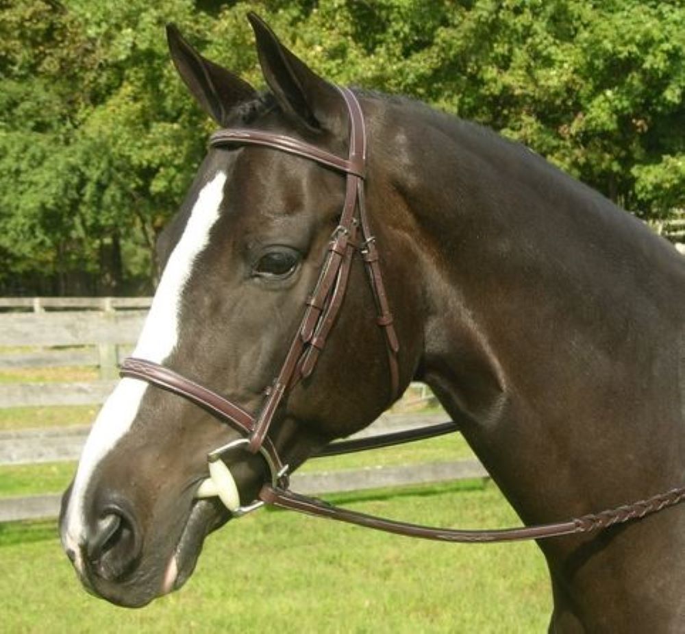 Bridles & Reins