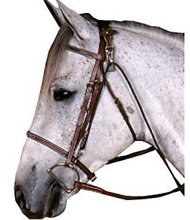 
    Sales &amp; Clearance TACK
  