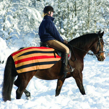 Winter Riding