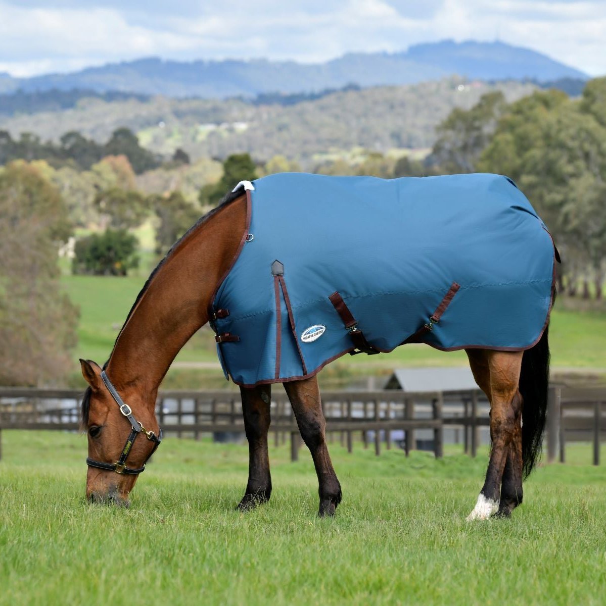 Weatherbeeta Comfitec Classic Standard Neck Plus Lite CLOSEOUT