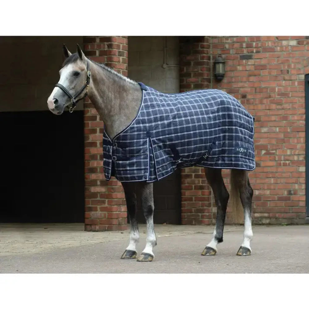 Saxon 1200D PP Stable Standard Neck Medium CLOSEOUT