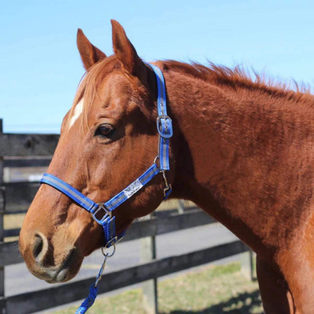 TuffRider Nylon Breakaway Halter & Lead Set