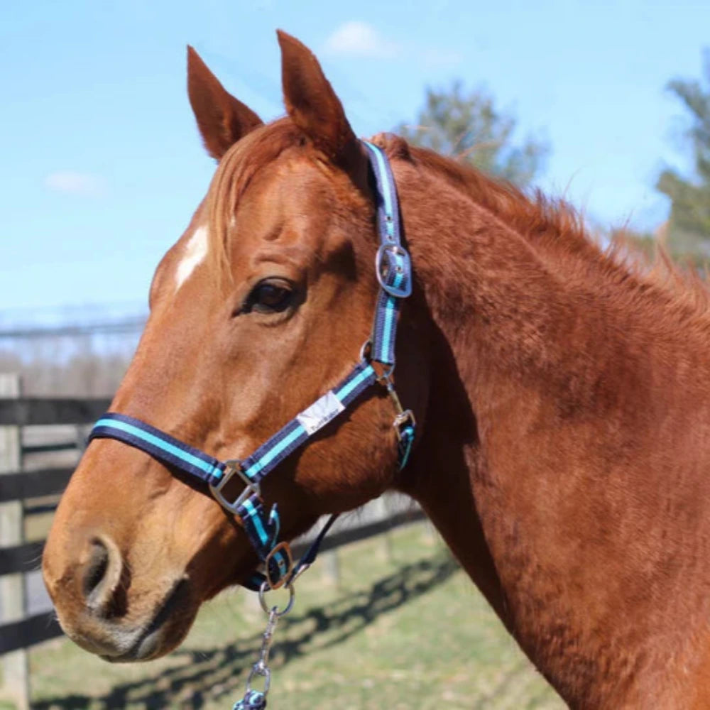 TuffRider Nylon Breakaway Halter & Lead Set