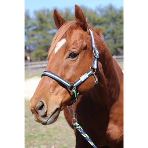 TuffRider Nylon Breakaway Halter & Lead Set