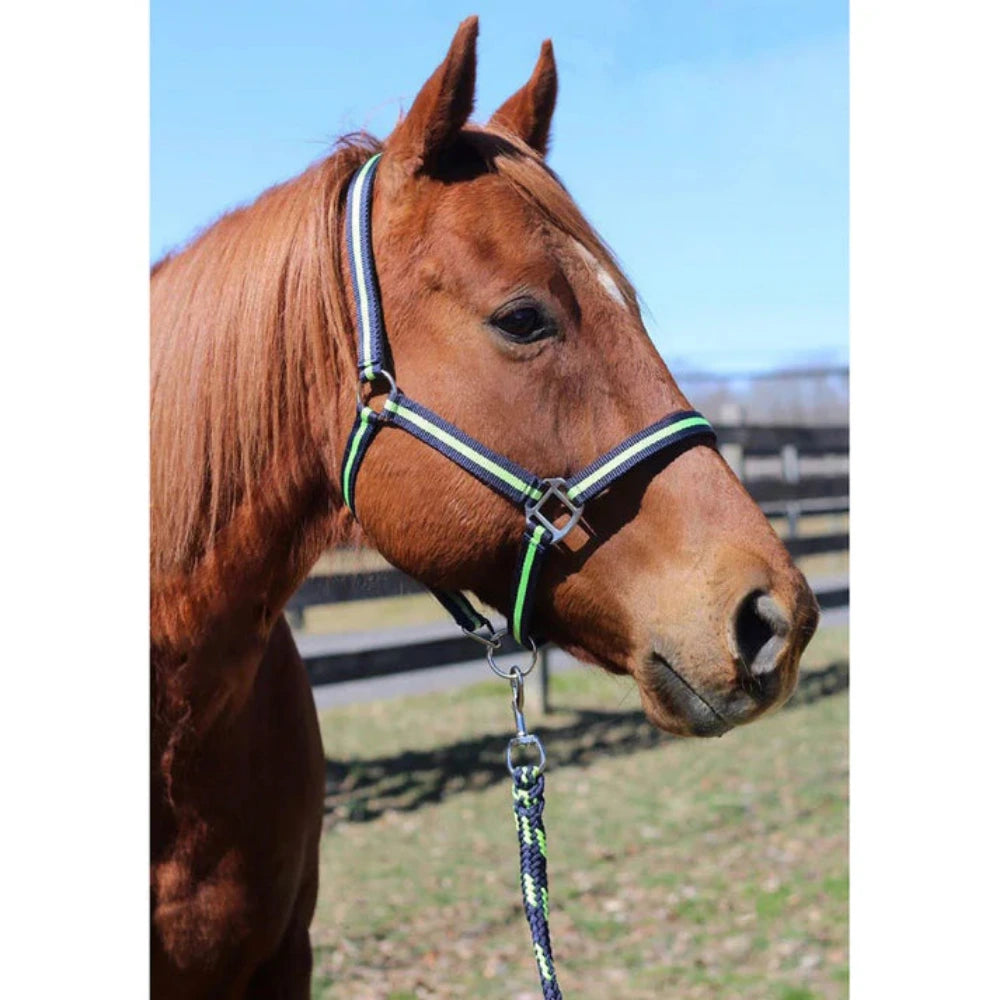 TuffRider Nylon Breakaway Halter & Lead Set