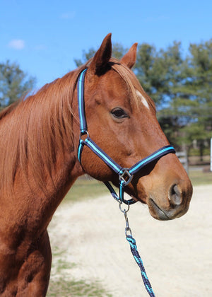TuffRider Nylon Breakaway Halter & Lead Set
