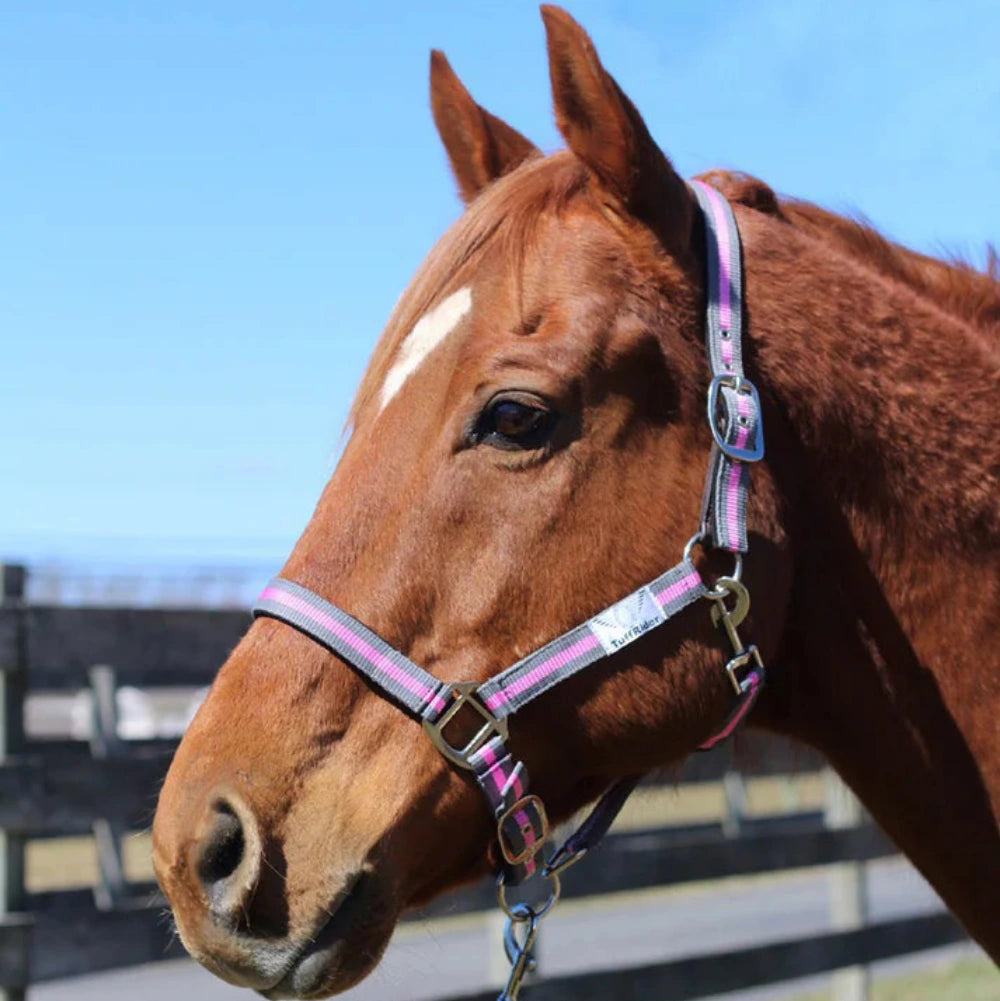 TuffRider Nylon Breakaway Halter & Lead Set