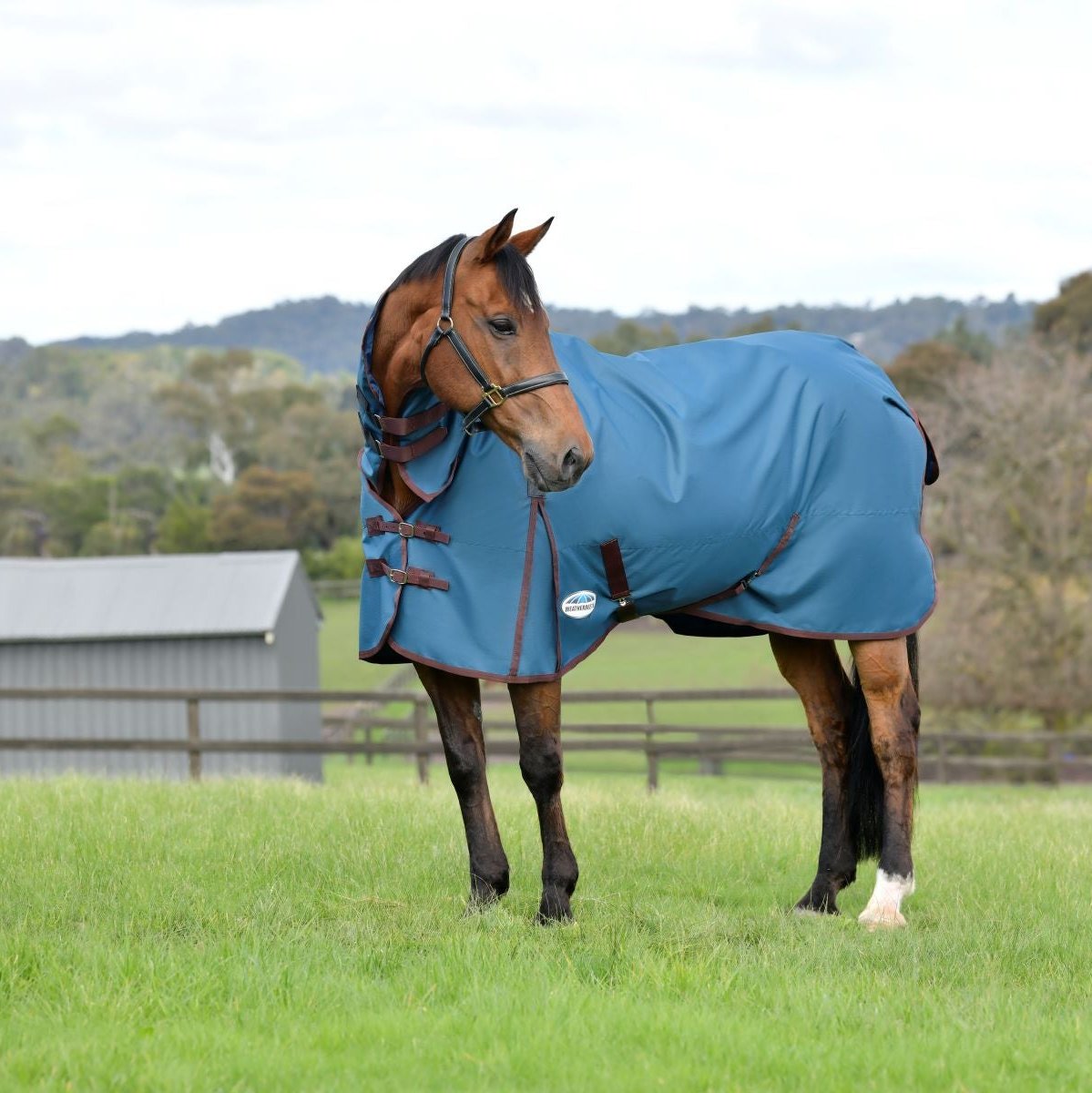 WeatherBeeta ComFiTech Classic Combo Neck Medium Turnout CLOSEOUT