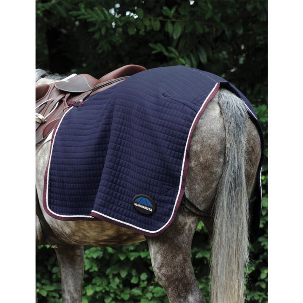 WeatherBeeta Thermocell Quarter Sheet