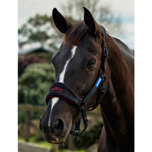 WeatherBeeta Prime Equine IQ Breakaway Halter