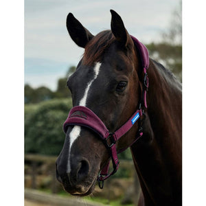 WeatherBeeta Prime Equine IQ Breakaway Halter