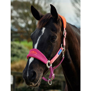 WeatherBeeta Prime Equine IQ Breakaway Halter