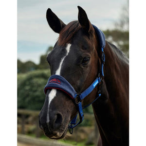 WeatherBeeta Prime Equine IQ Breakaway Halter