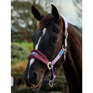 WeatherBeeta Prime Equine IQ Breakaway Halter