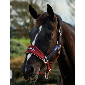 WeatherBeeta Prime Equine IQ Breakaway Halter