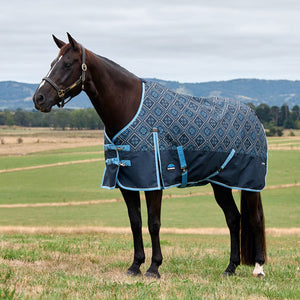 WeatherBeeta ComFiTec Heritage Turnout 220G -PAISLEY PRINT