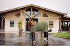 Horseware Amigo Fleece Cooler CLOSEOUT