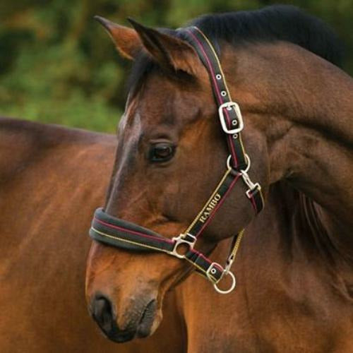 Horseware Rambo Padded Halter CLOSEOUT
