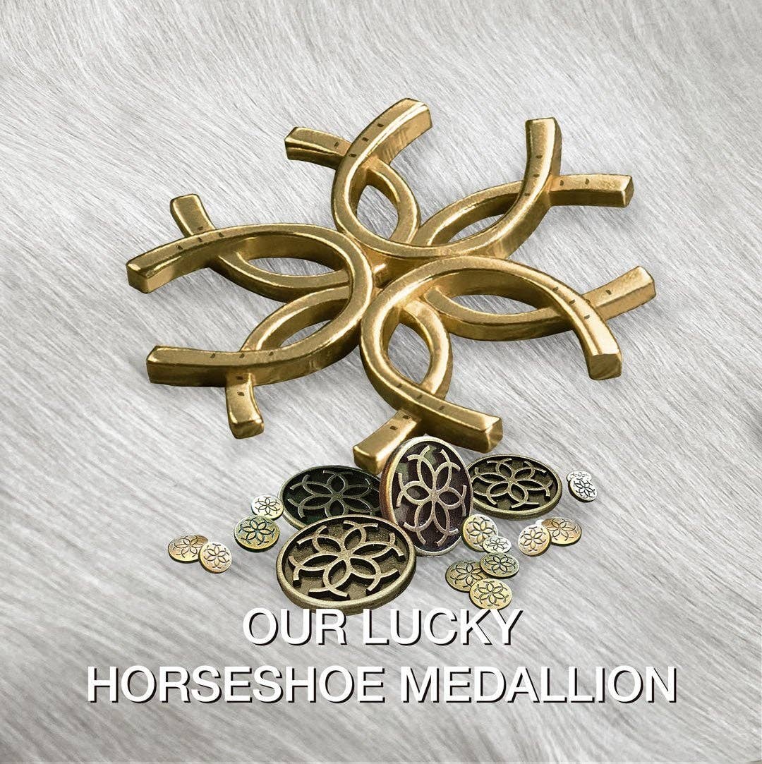 Signature Medallion leather Horseshoe Bracelet - Silver/Black