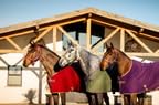 Horseware Amigo Fleece Cooler CLOSEOUT