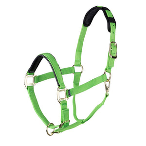 Shires Topaz Leather Breakaway Nylon Headcollar