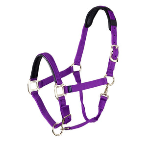 Shires Topaz Leather Breakaway Nylon Headcollar