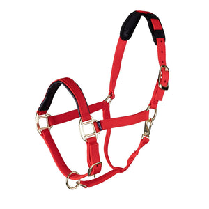 Shires Topaz Leather Breakaway Nylon Headcollar