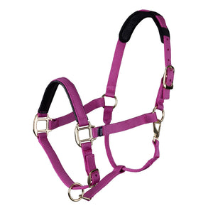 Shires Topaz Leather Breakaway Nylon Headcollar