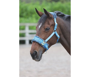 Shires Fleece Lined Lunge Cavesson - The Carousel Horse 