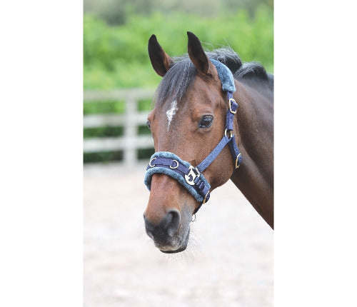 Shires Fleece Lined Lunge Cavesson - The Carousel Horse 