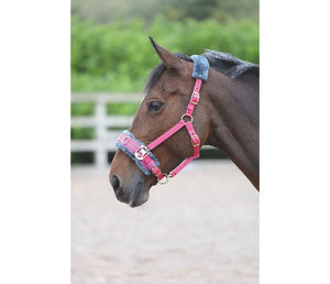 Shires Fleece Lined Lunge Cavesson - The Carousel Horse 