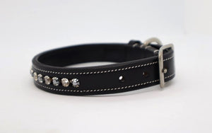 KL Select Impulsion Dog Collar