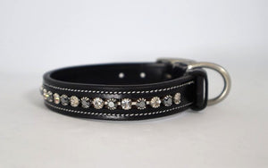 KL Select Impulsion Dog Collar