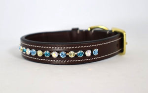 KL Select Paradise Dog Collar