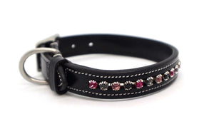 KL Select Blackberry Dog Collar