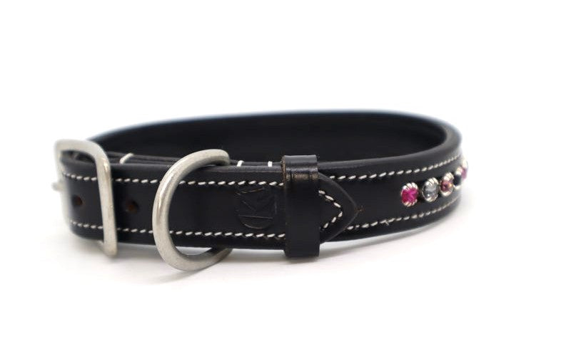 KL Select Blackberry Dog Collar