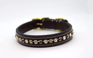 KL Select Peaches & Cream Dog Collar