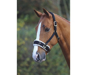 Shires Fleece Lined Lunge Cavesson
