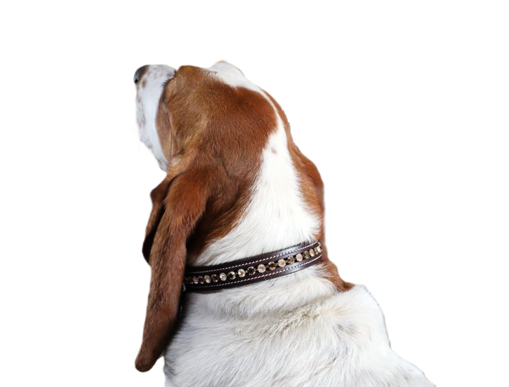 KL Select Peaches & Cream Dog Collar