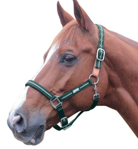 Roma Reflective Breakaway Halter