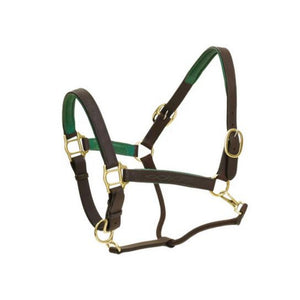 Ovation Richtan Luxury Padded Halter