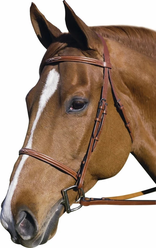 Henri de Rivel Henri de Rivel Pro Fancy Raised Bridle With Laced Reins