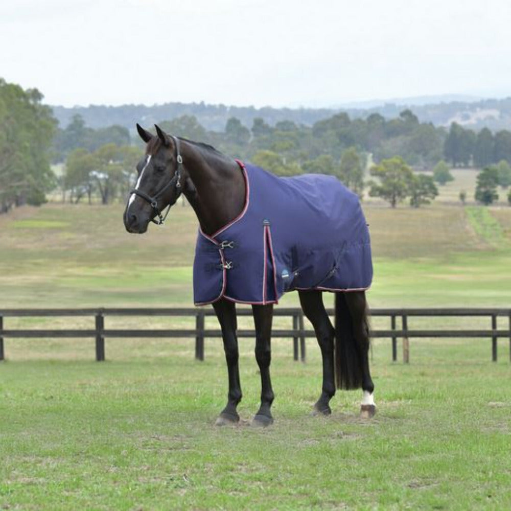 WeatherBeeta ComFiTec Essential Turnout Standard Neck 0G - The Carousel Horse 